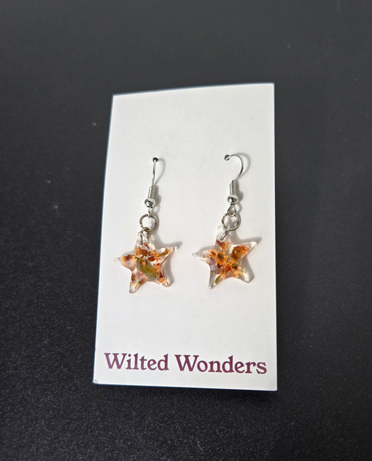 Small Dangle Earrings - Stars