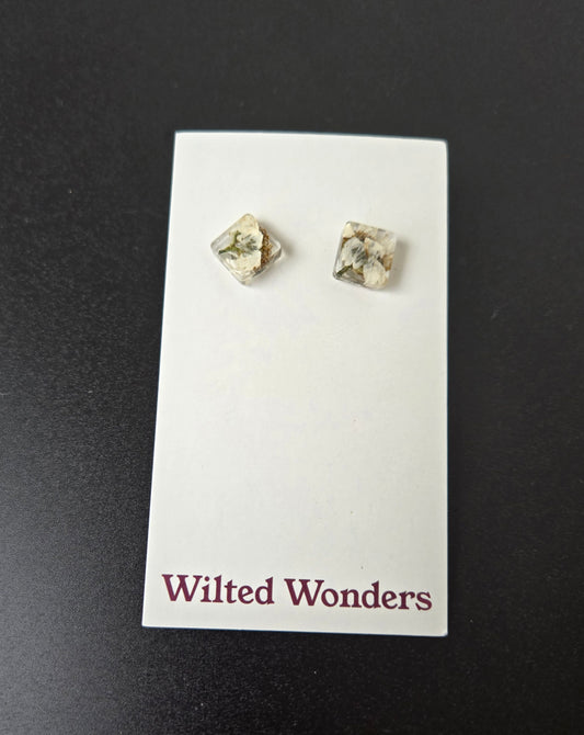 Stud Earrings