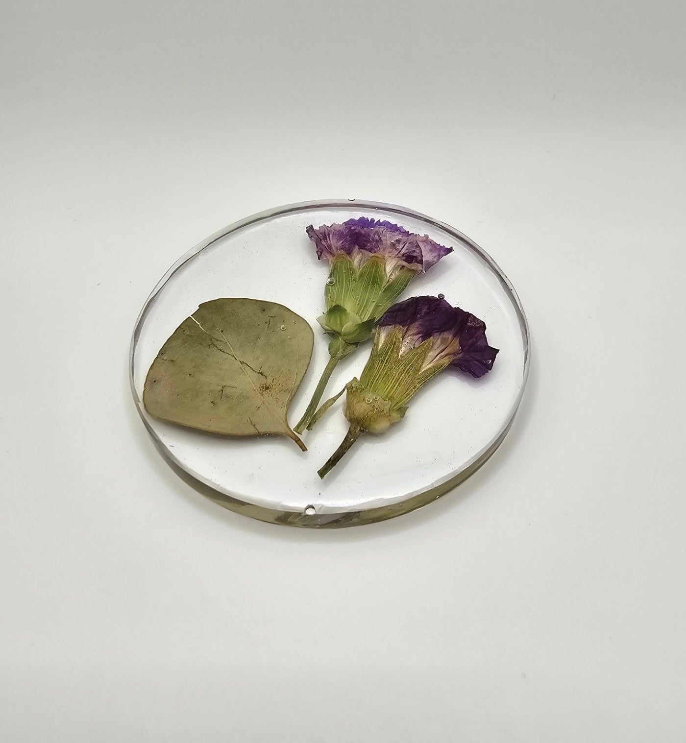 Purple Carnation Floral Circle Coaster Set