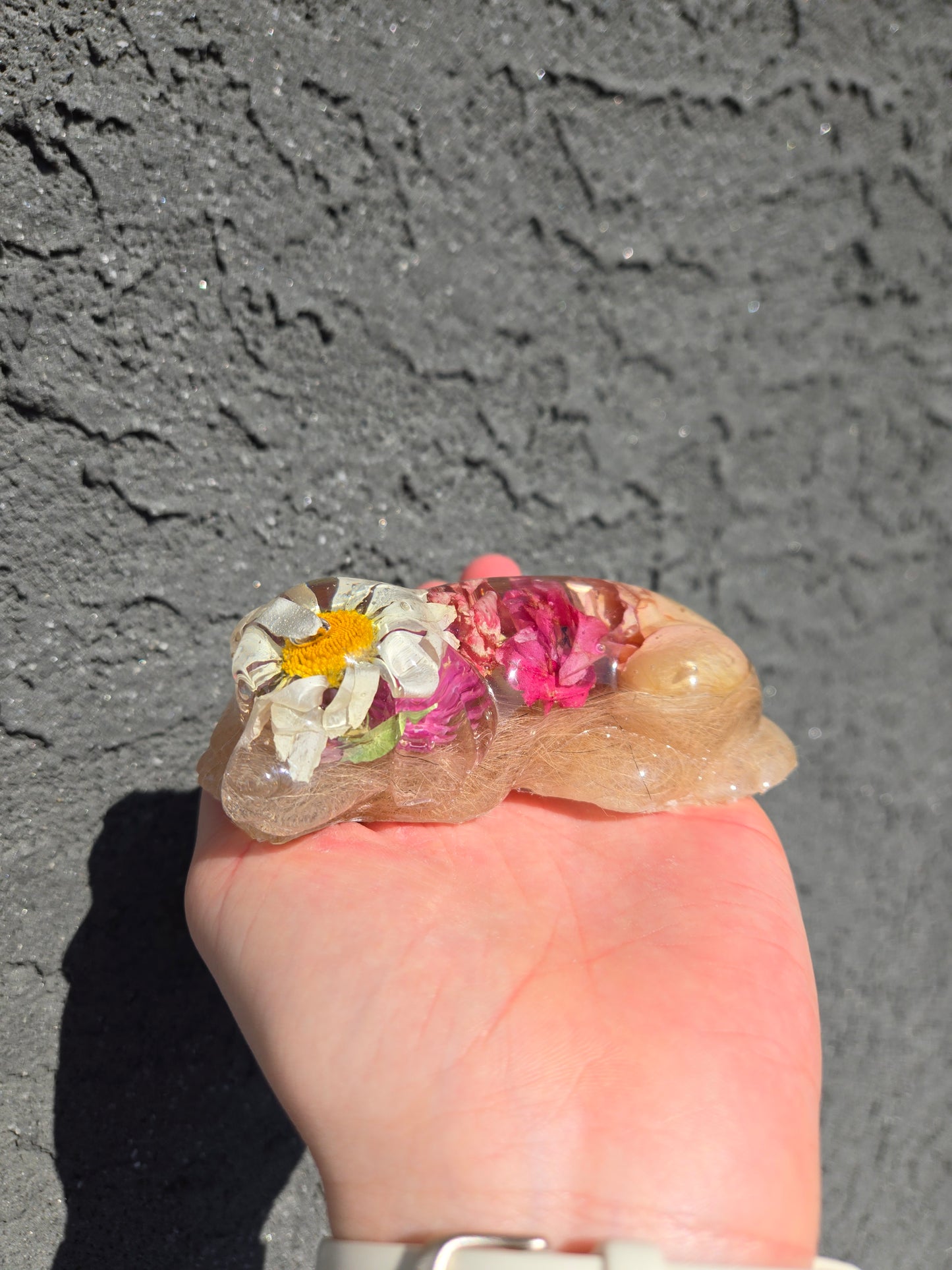 Pet Keepsake