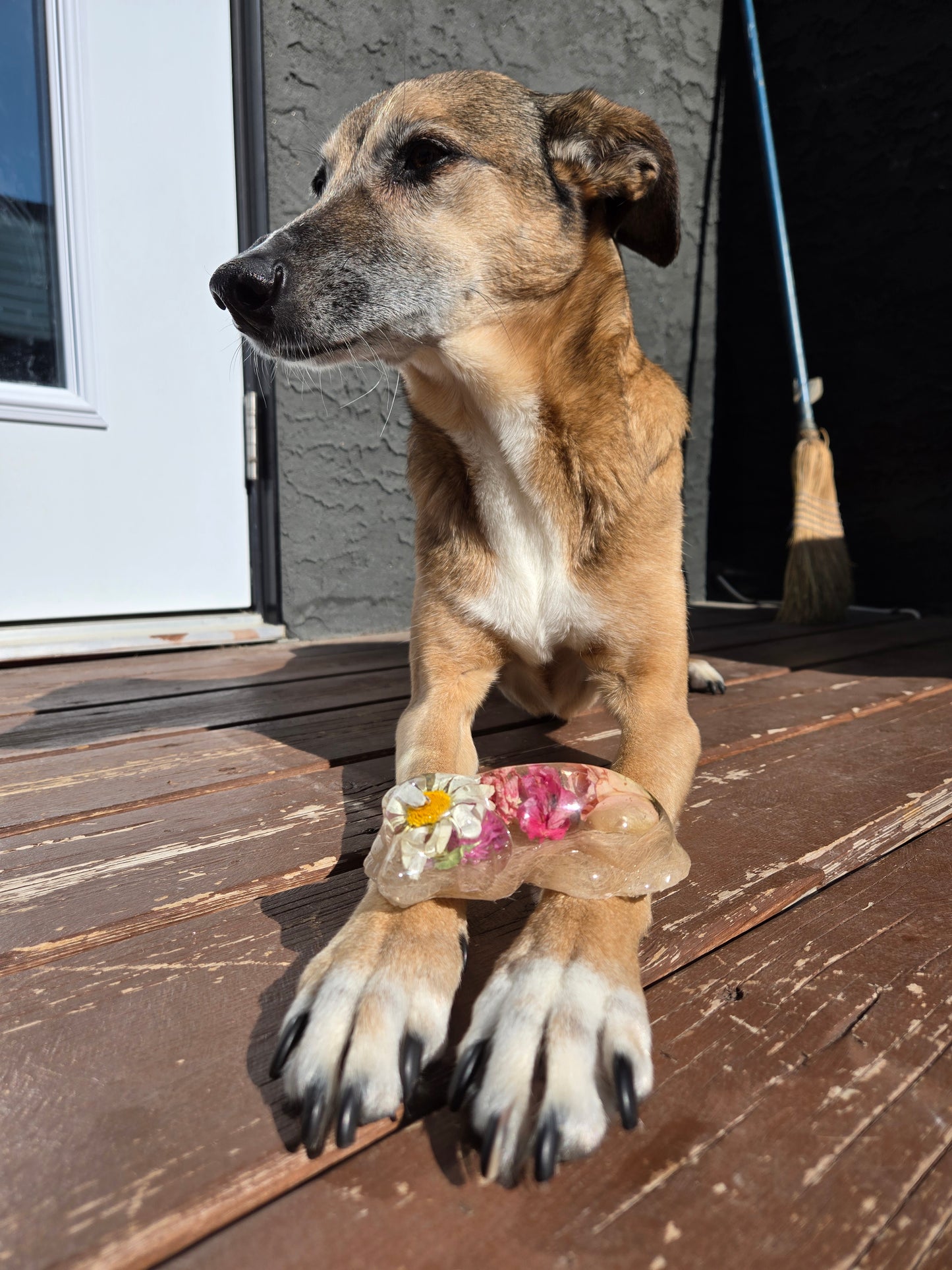 Pet Keepsake