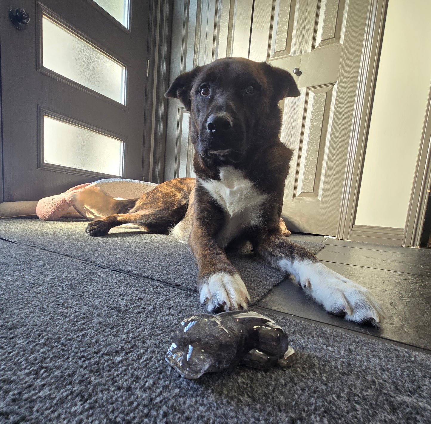 Pet Keepsake