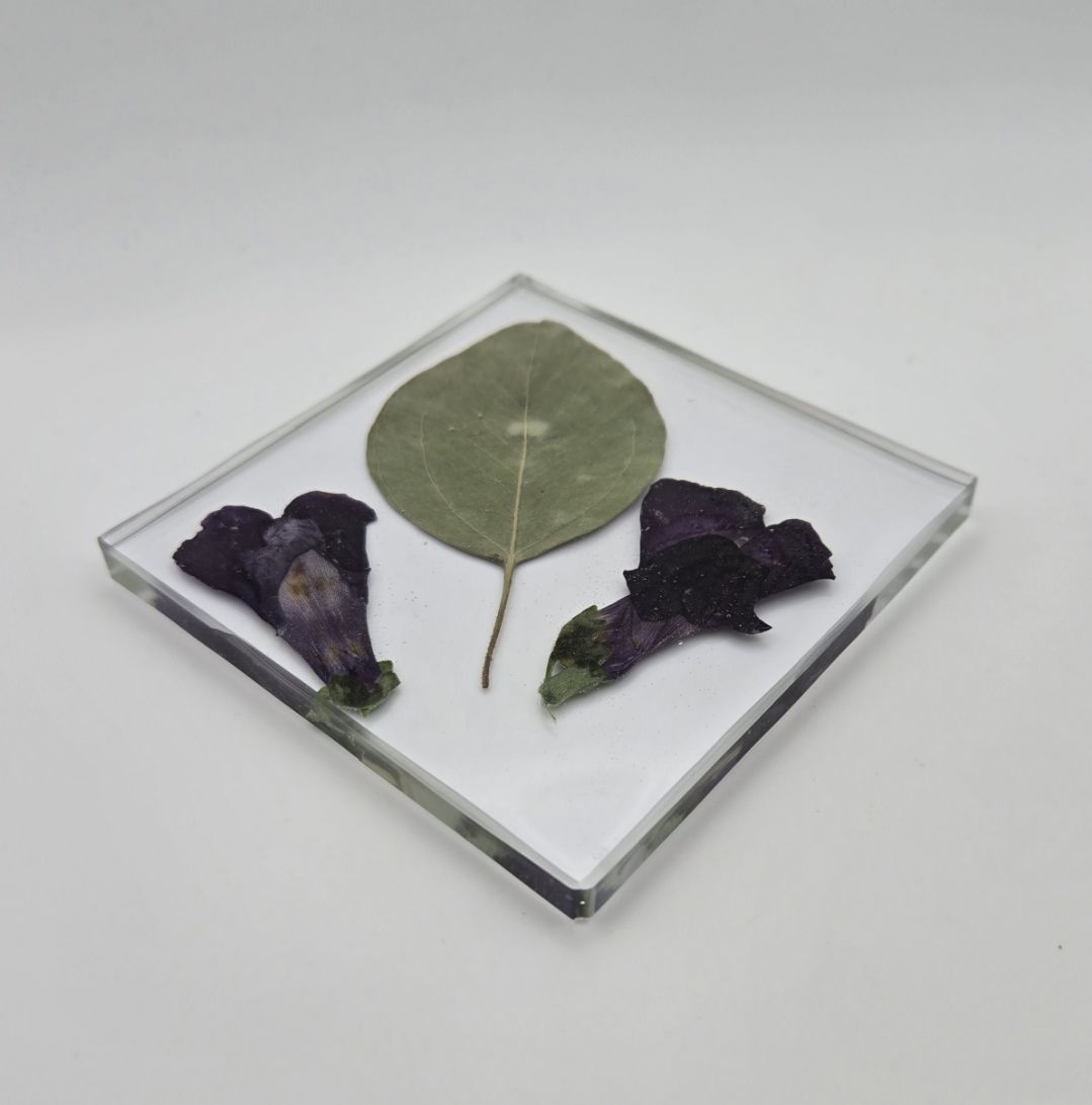 Snapdragon with Eucalyptus Square Coaster Set