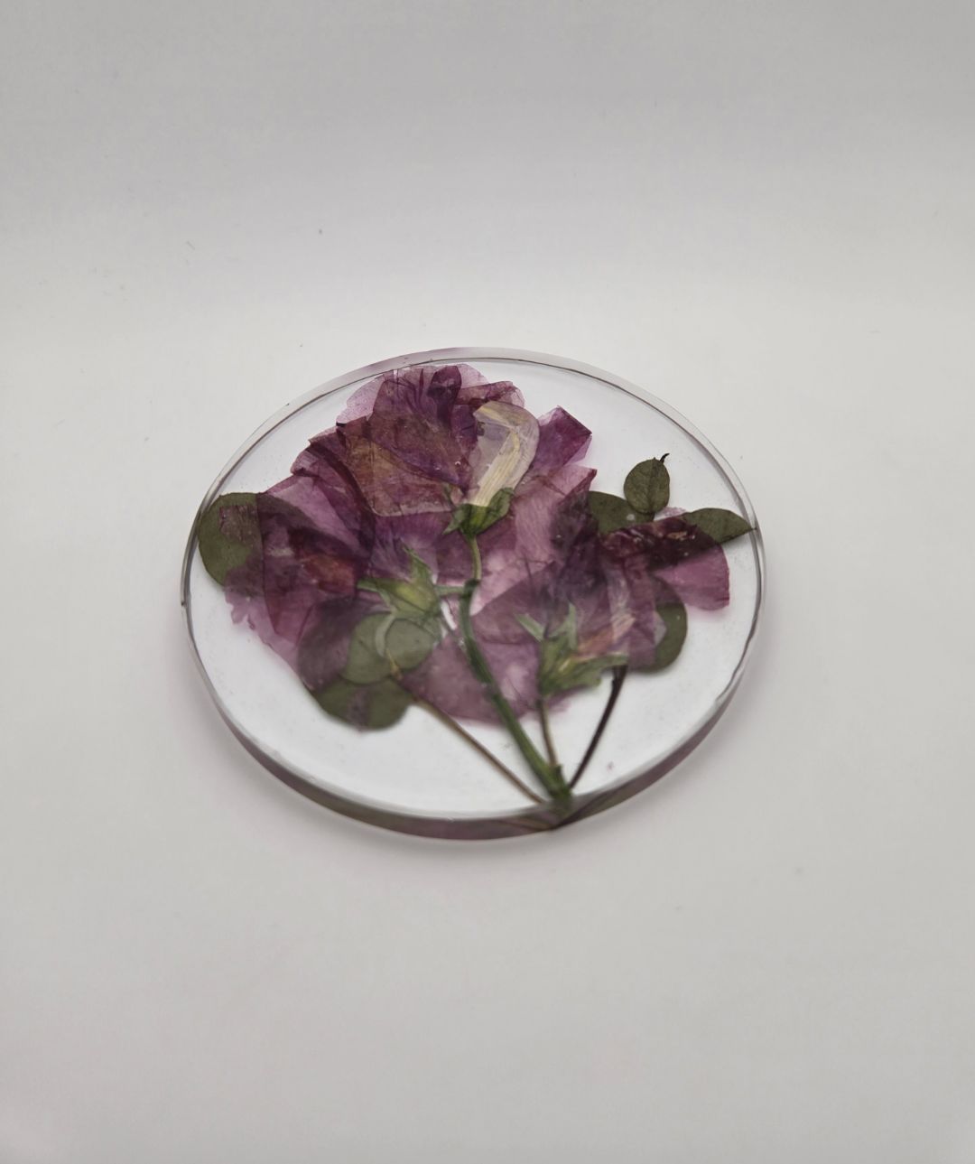 Sweet Pea with Eucalyptus Circle Coaster Set