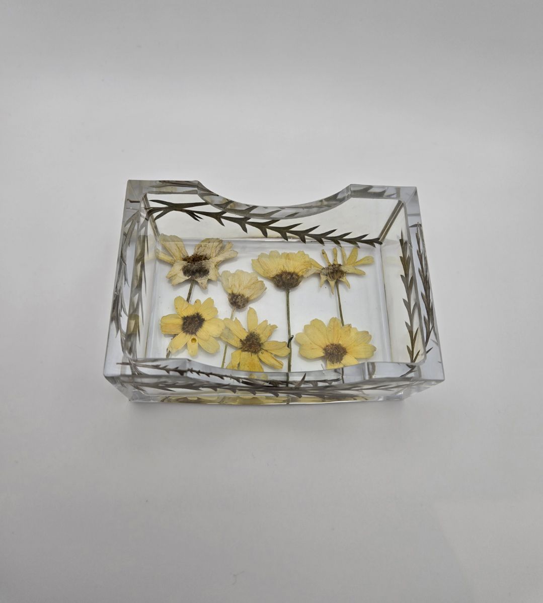 Yellow Creeping Zinnia Square Coaster Set