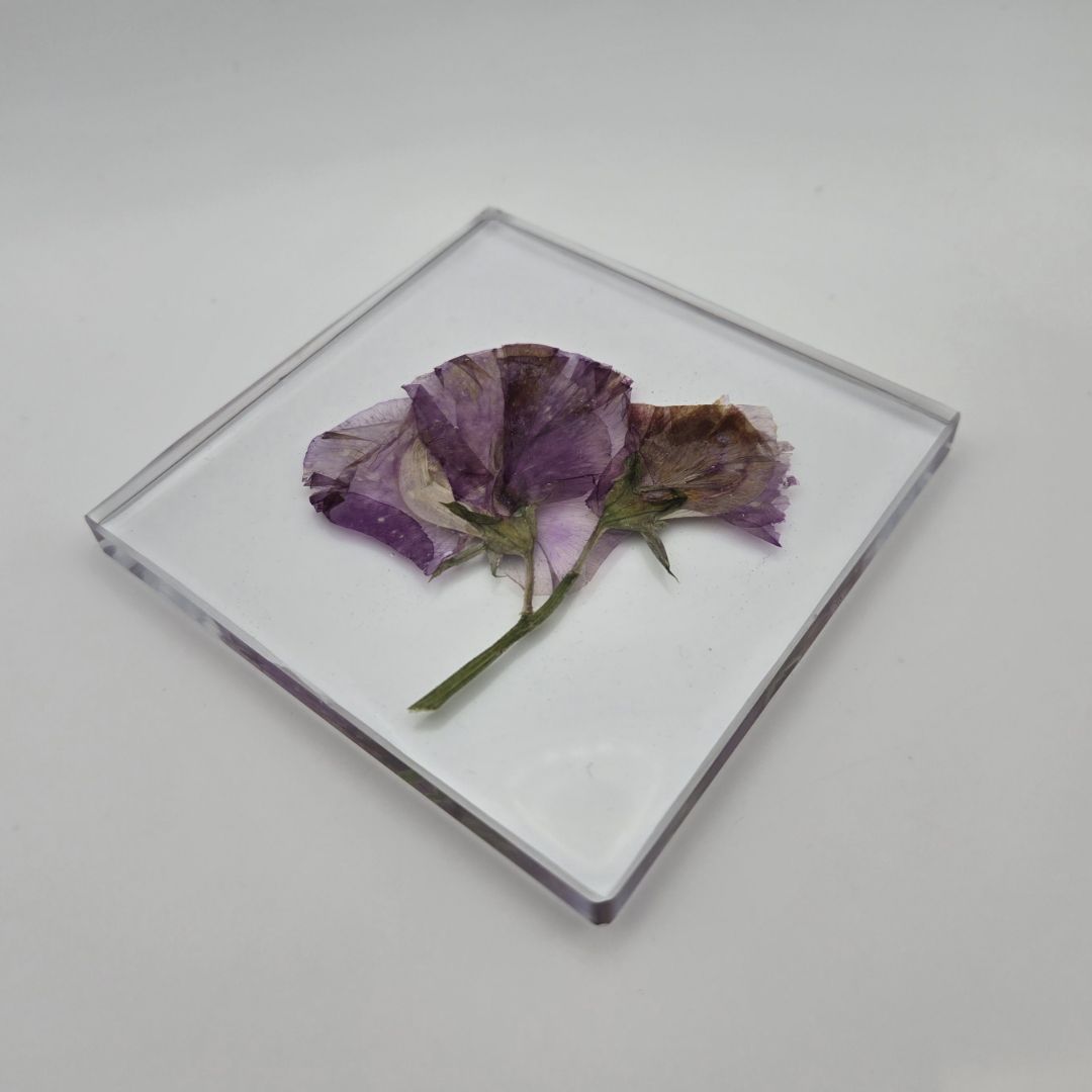 Simple Sweet Pea Square Coaster Set