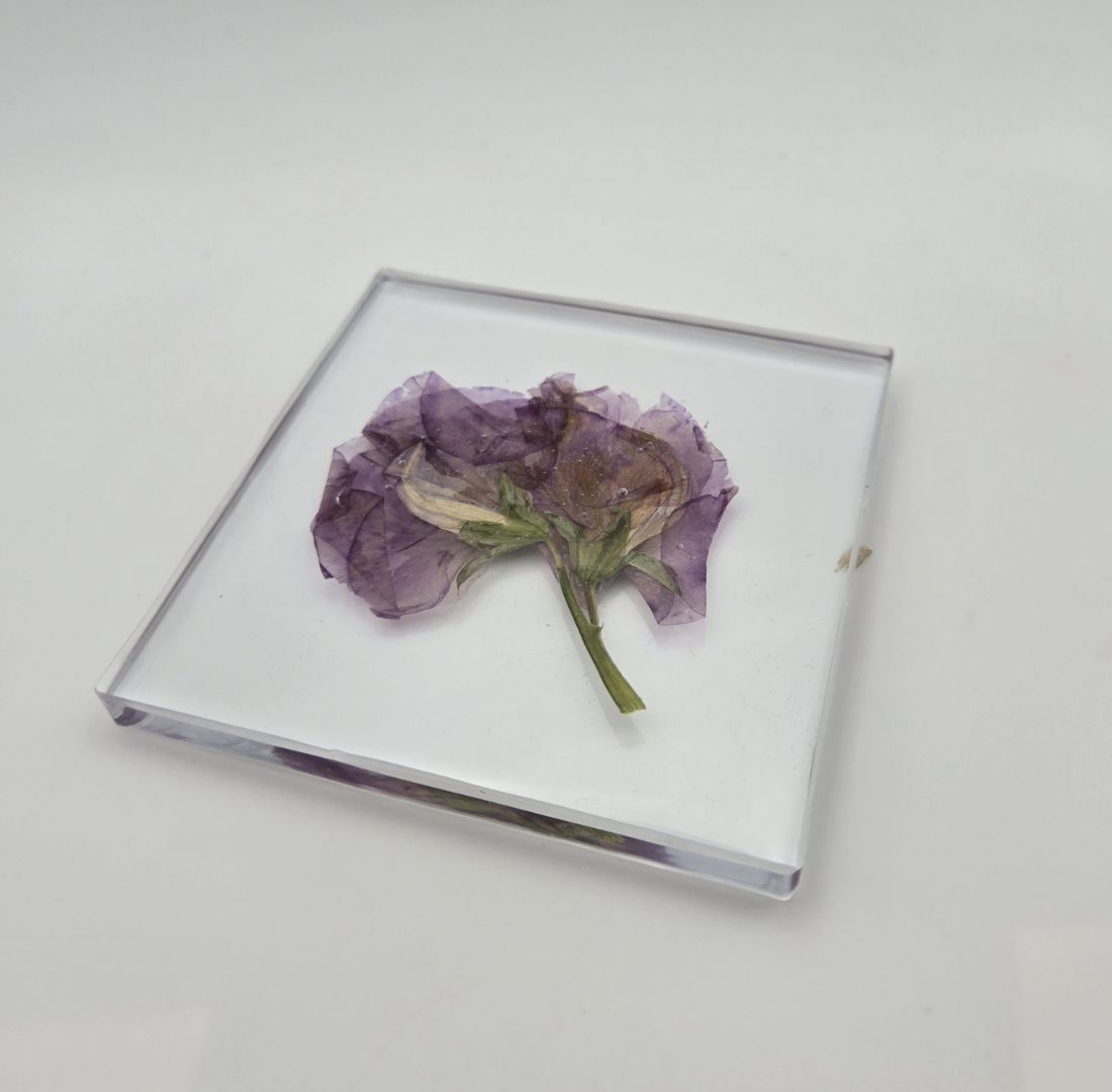 Simple Sweet Pea Square Coaster Set