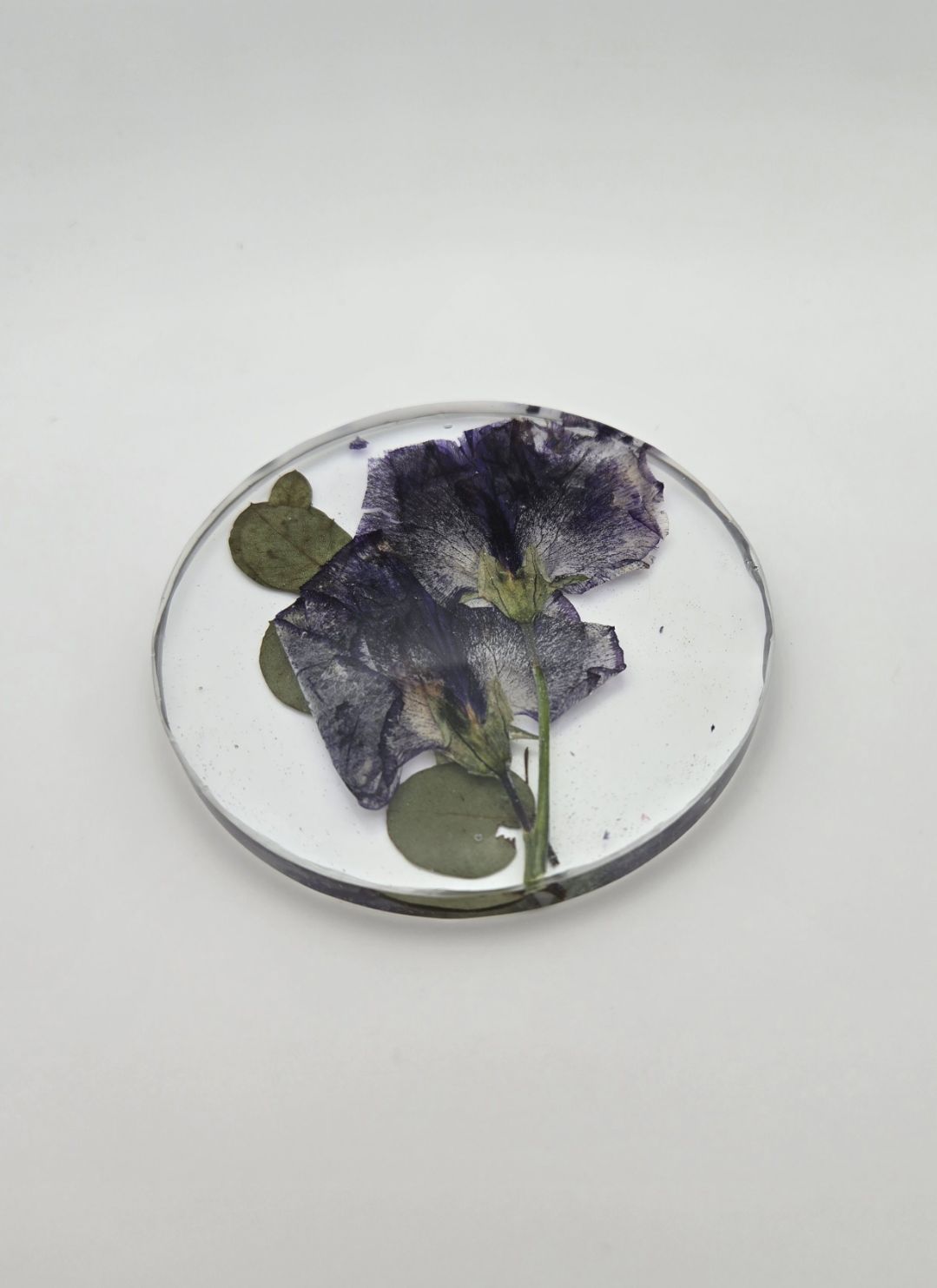 Sweet Pea with Eucalyptus Circle Coaster Set