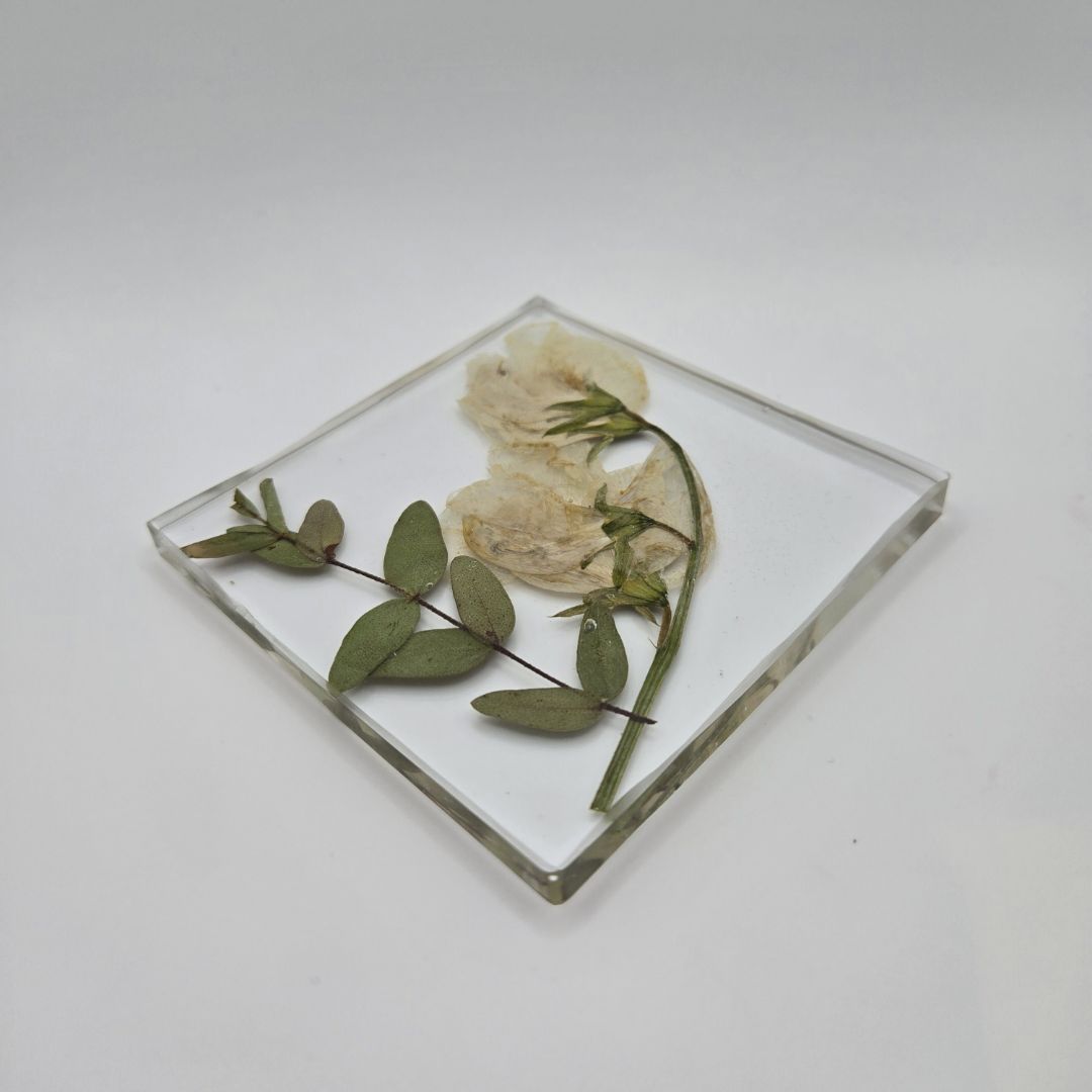 Sweet Pea with Eucalytus Circle Coaster Set