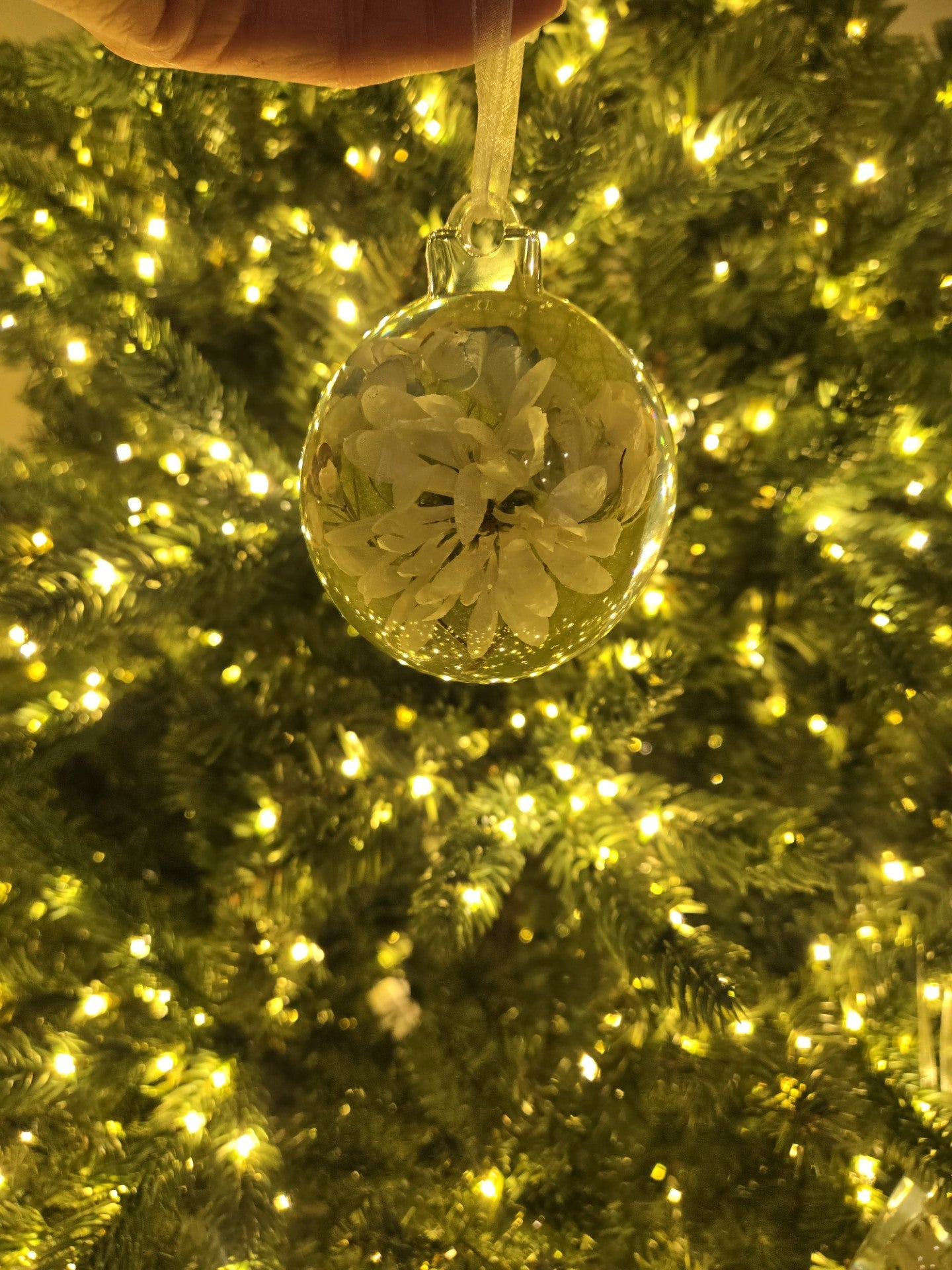 Ornament