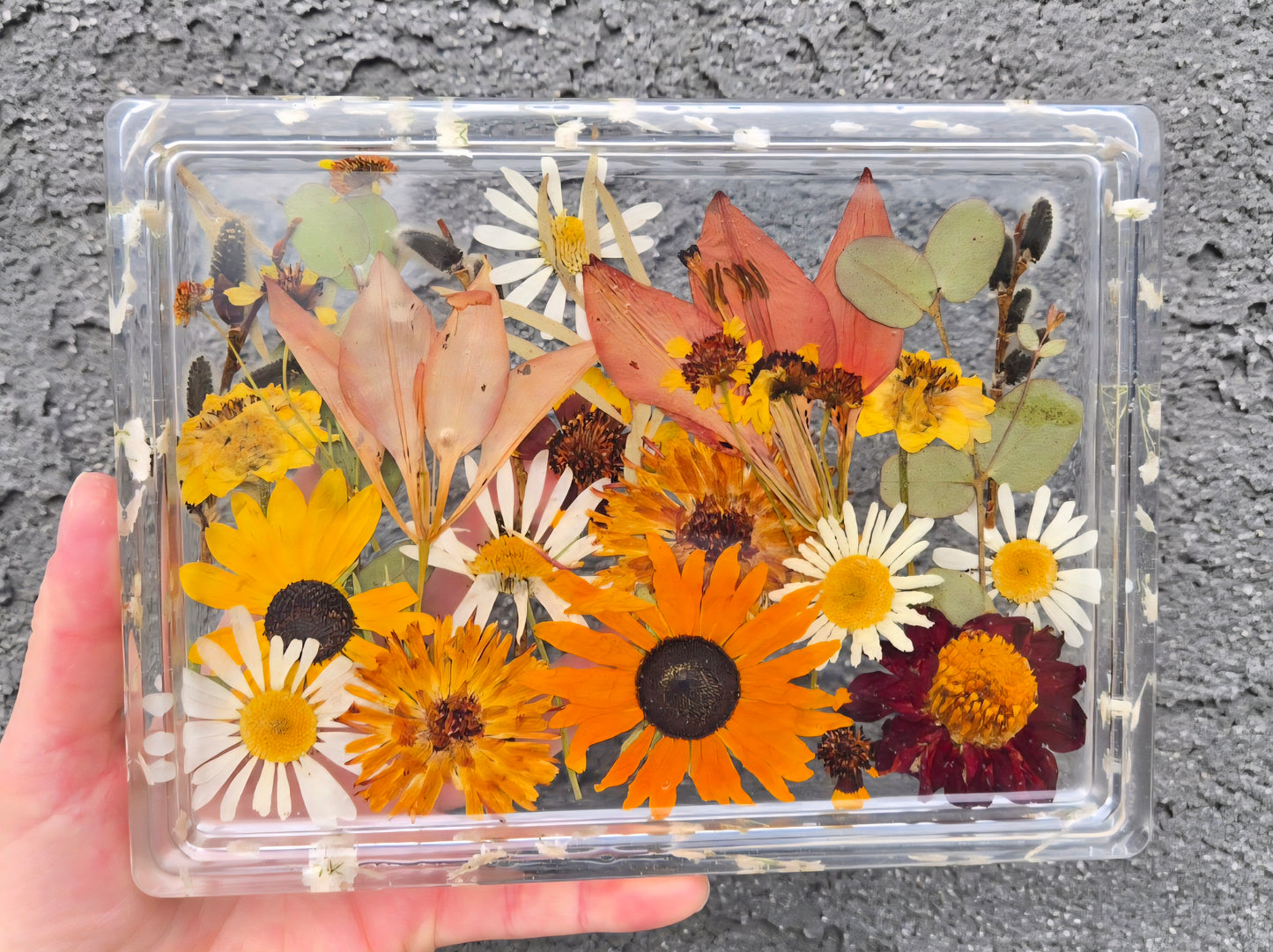 Small Rectangle Tray